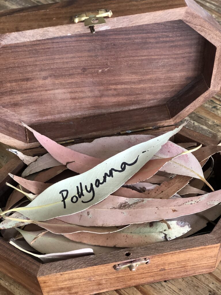 Pollyanna on leaves Pollyanna name on leaves